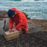 Stop alle cassette del pesce in polistirolo per salvare i mari dalla plastica