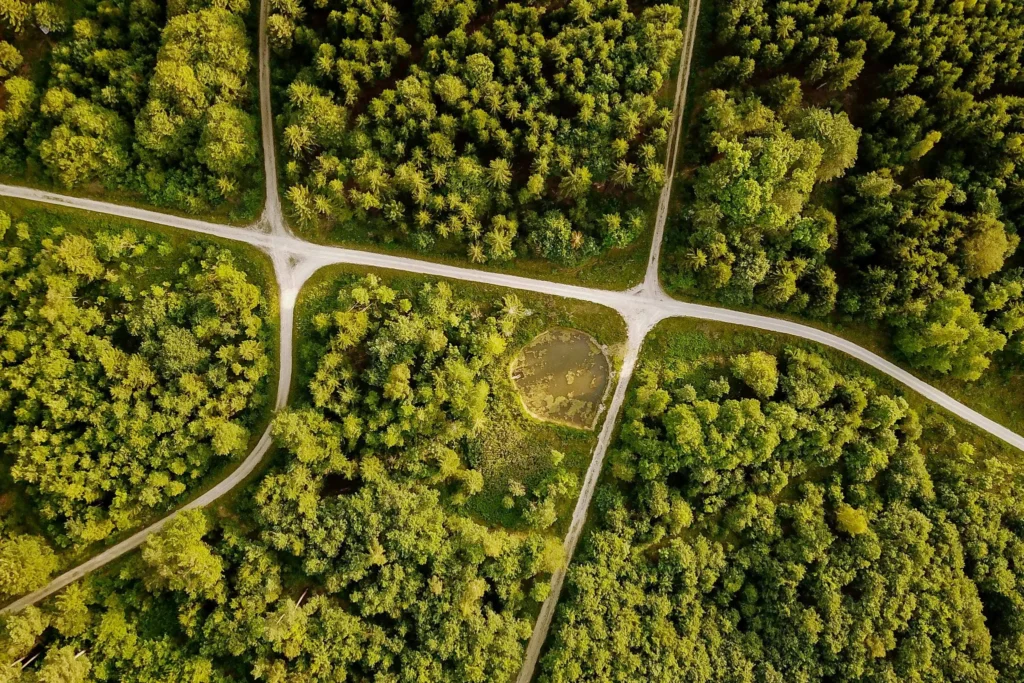 transizione verde: l’Unione Europea accelera, ma l’Italia resta indietro su trasporti, edilizia e governance climatica