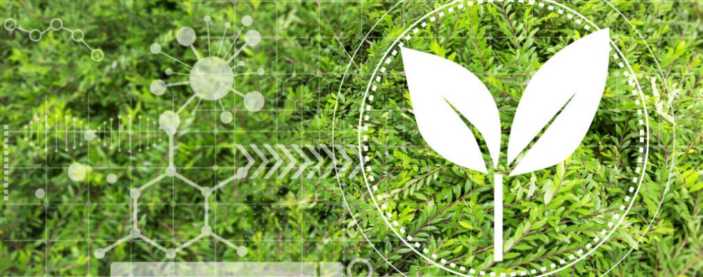 Using biomass and chemistry to conserve nature,Supporting effici Using biomass and chemistry to conserve nature,Supporting efficient use of resources,Balanced use of biomass
